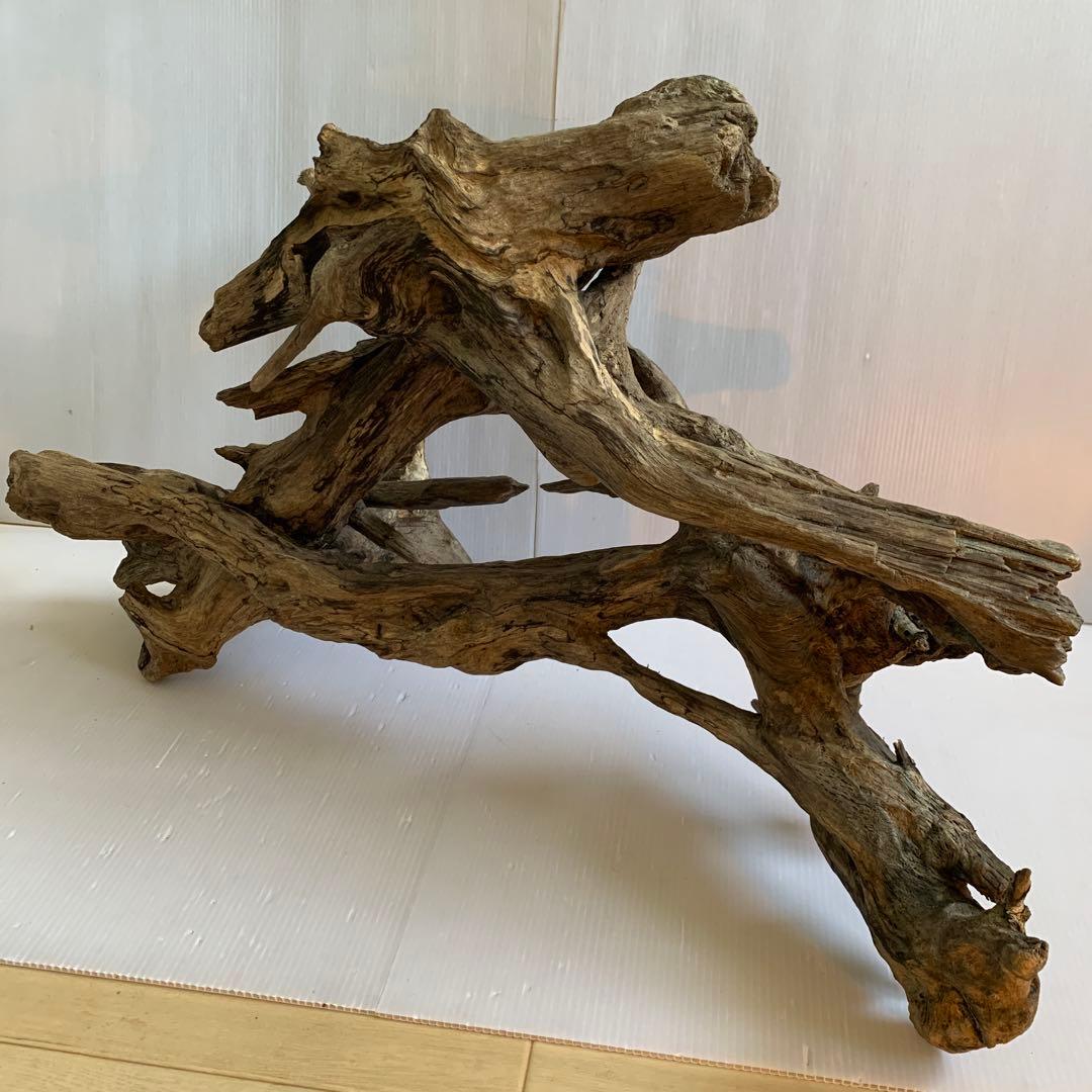 銀*時様 アク抜き済み流木　No.10 超レア型　沈水確認済