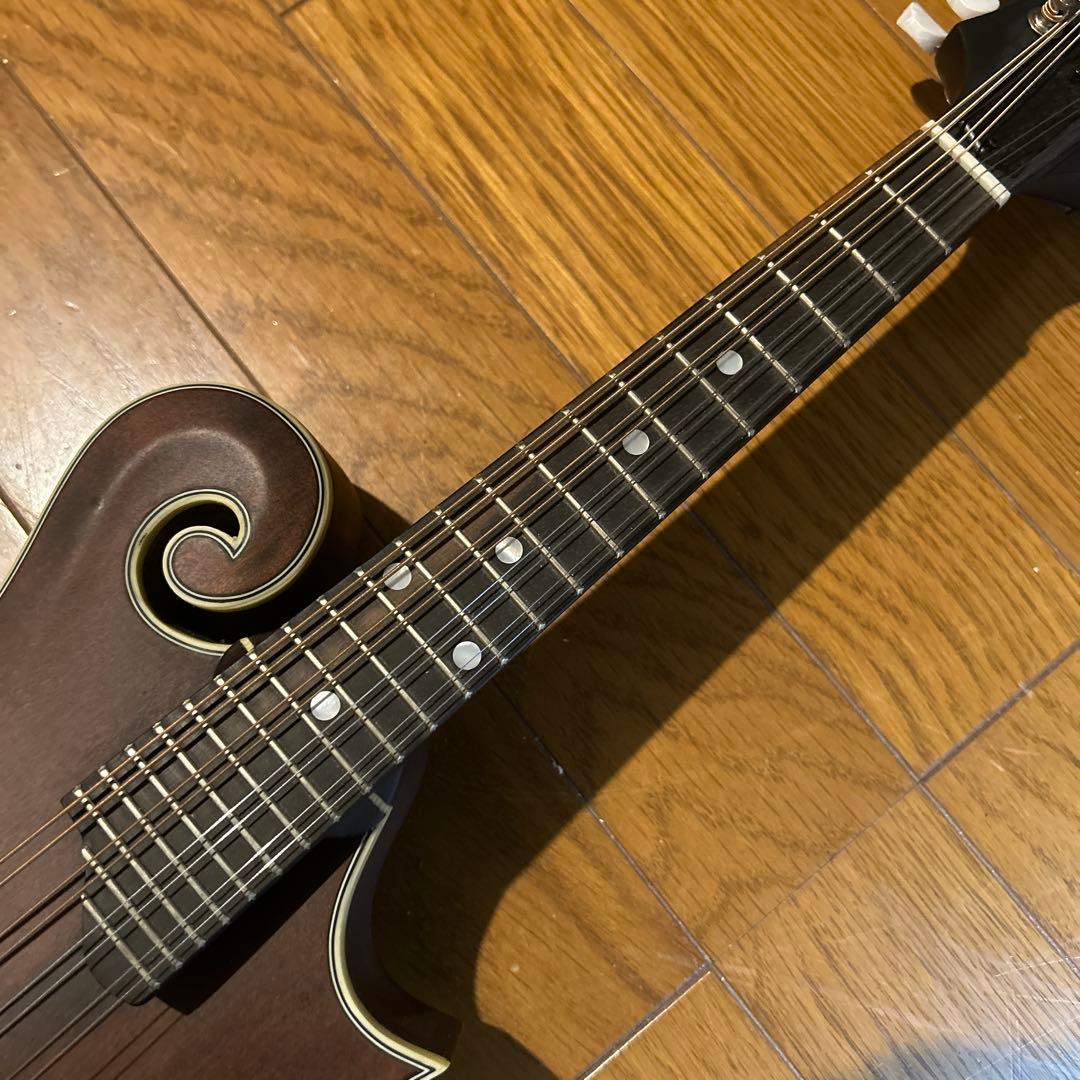 フラットマンドリン イーストマン md-315 /CLA ピックアップ付き