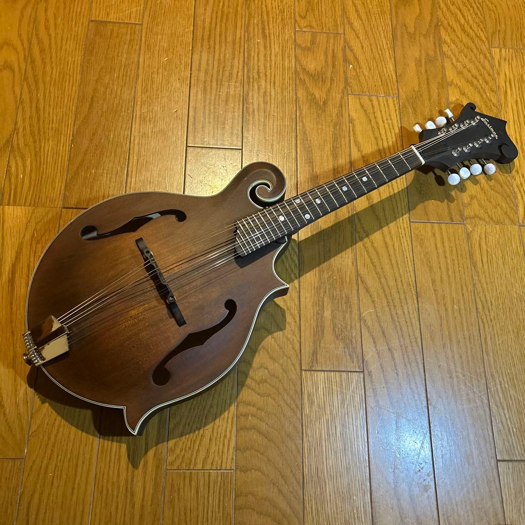 フラットマンドリン イーストマン md-315 /CLA ピックアップ付き