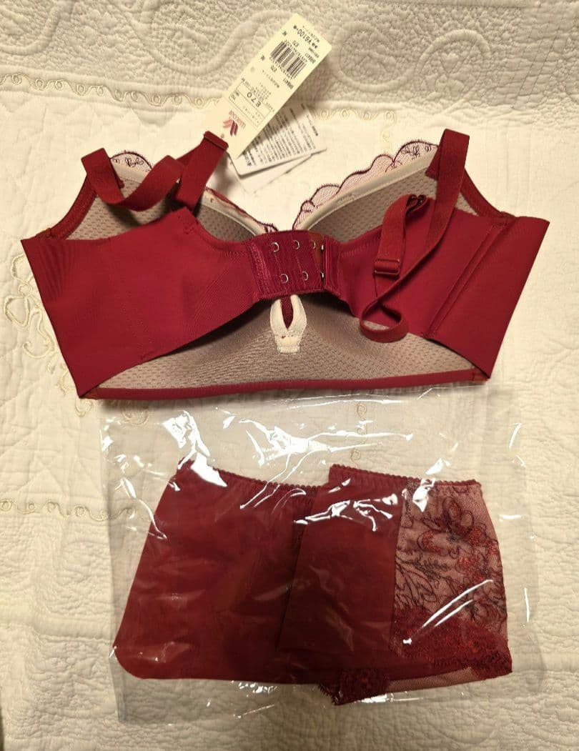 専用ですワコールスハダワン ブラとパンツ赤と黒