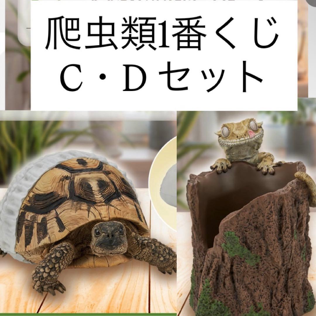 爬虫類1番くじ C・Dセット 爬虫類＆両生類～Tiny Friends～】カメレオンからウミイグアナまで