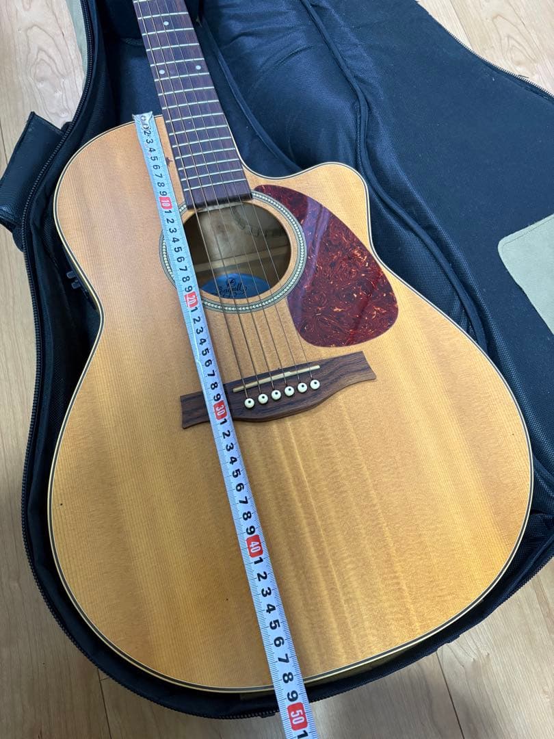 エレアコ ギター seagull Amber Trail シーガル - メルカリ