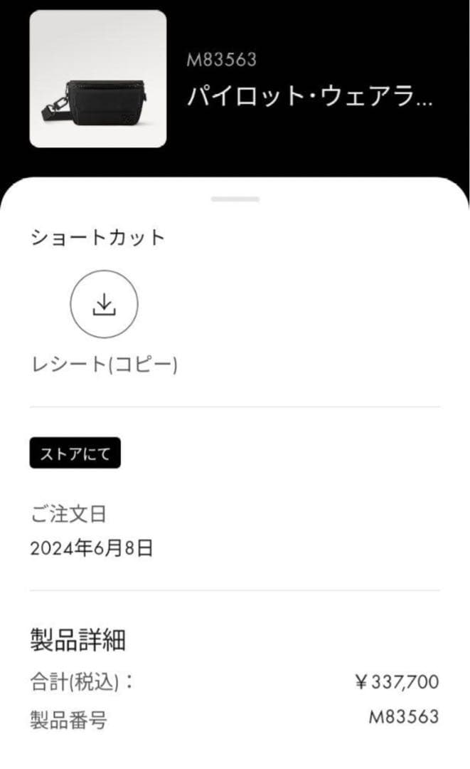 極美品 ルイヴィトン LV パイロット ウェアラブル ウォレット 黒 4K32