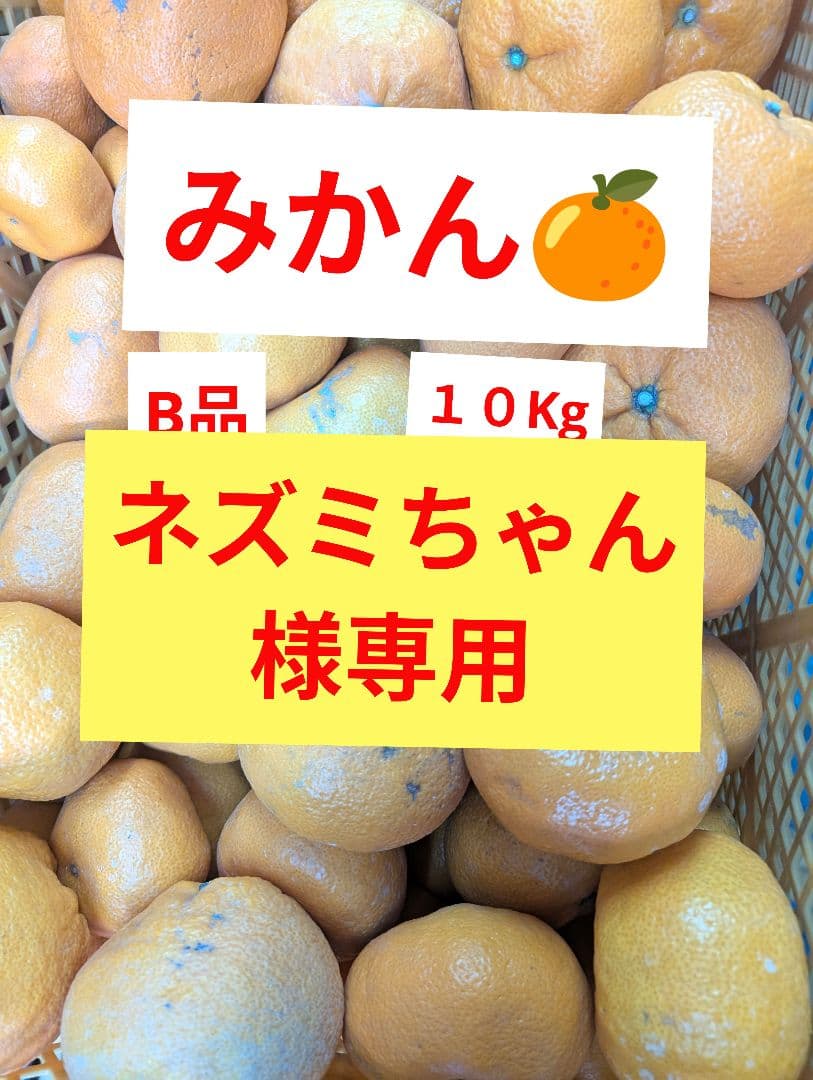 みかん ネズミちゃん様専用 - メルカリ