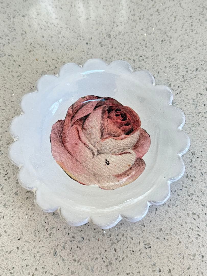 John Derian Rose with Insect ソーサー アスティエ - メルカリ