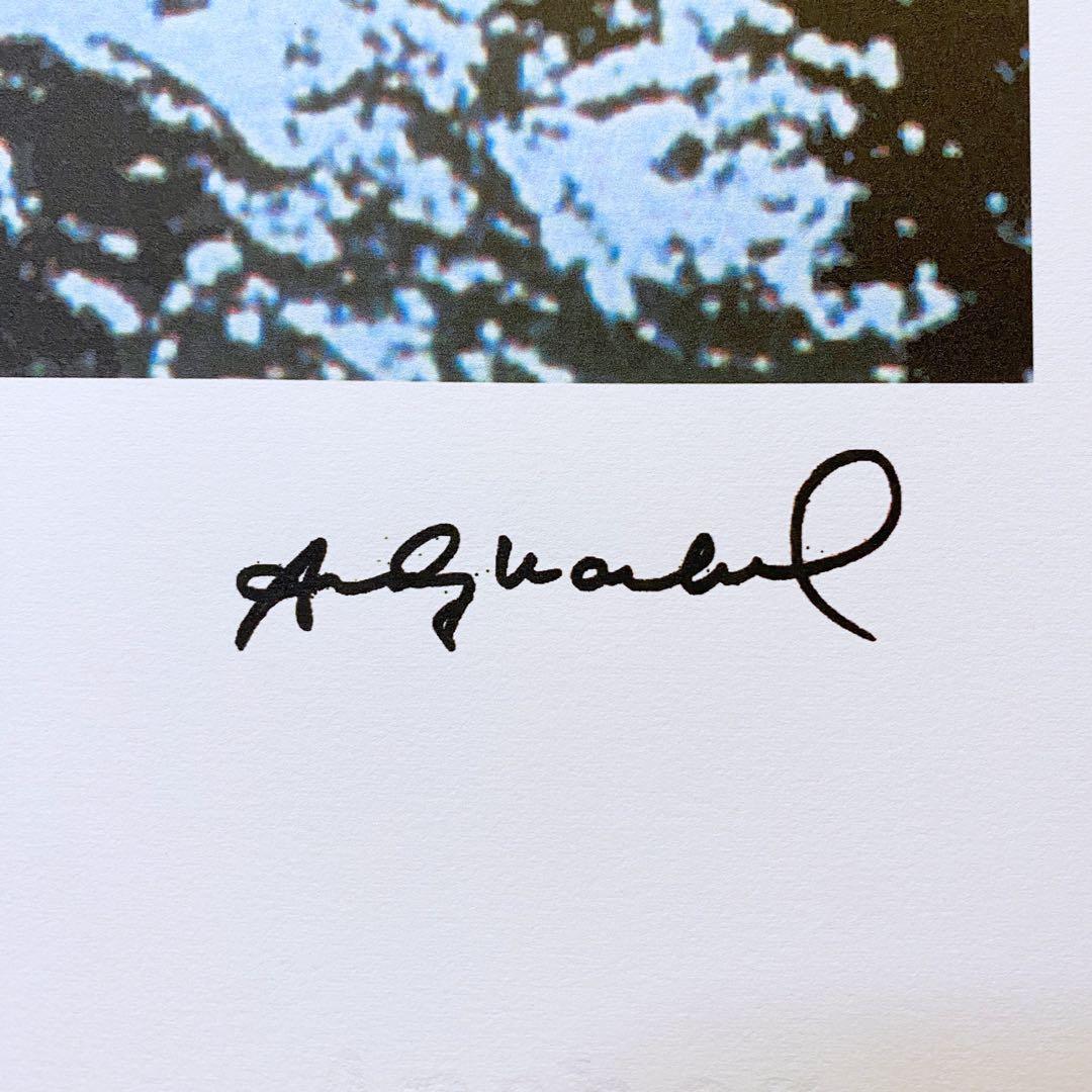 模写】神級レア!!!! アンディ・ウォーホル カエル リトグラフ 証明書