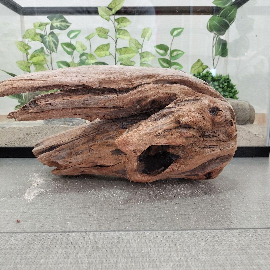 No.1154】シェルター流木 爬虫類レイアウト✫インテリア✫エアー