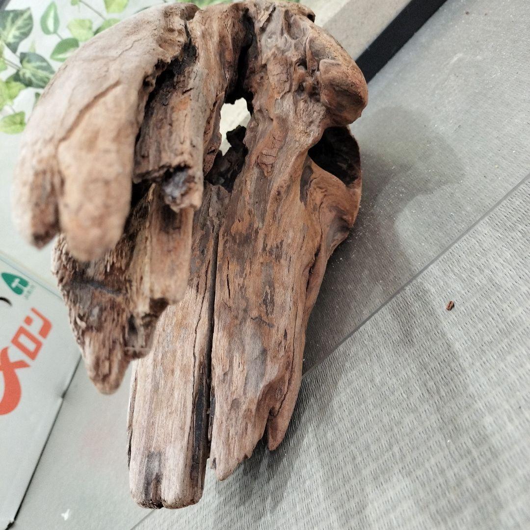 No.1154】シェルター流木 爬虫類レイアウト✫インテリア✫エアー