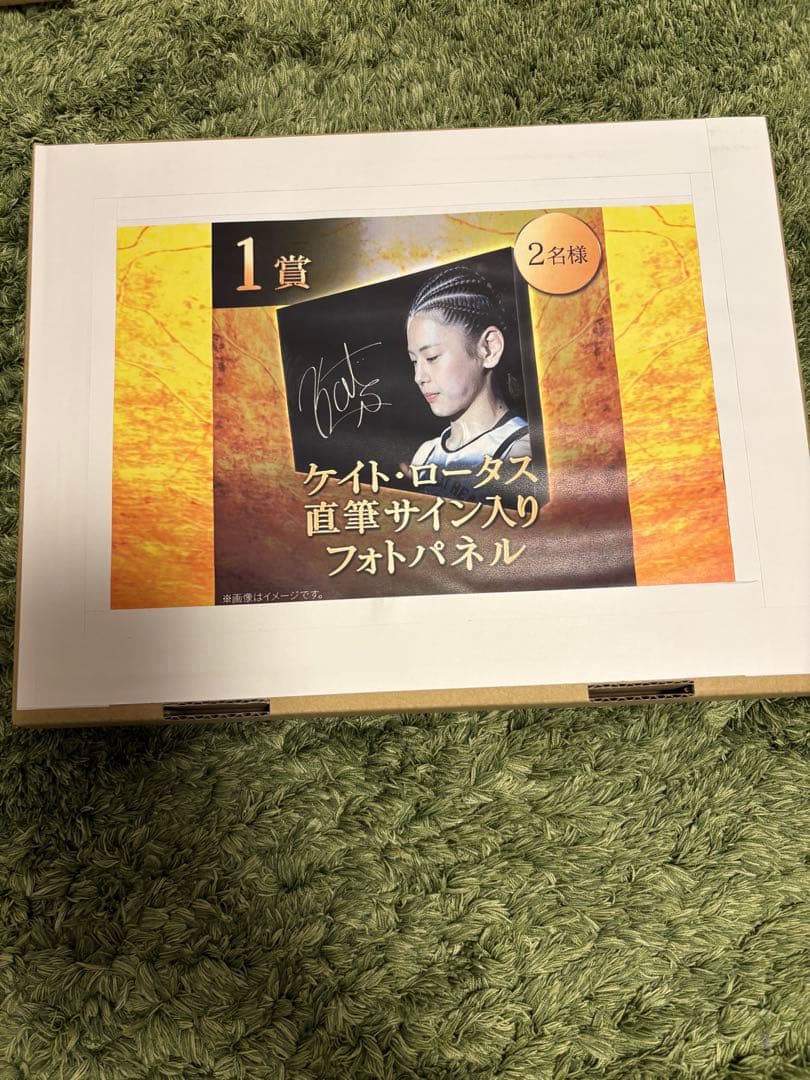 ケイト・ロータス 直筆サイン入りフォトパネル - メルカリ