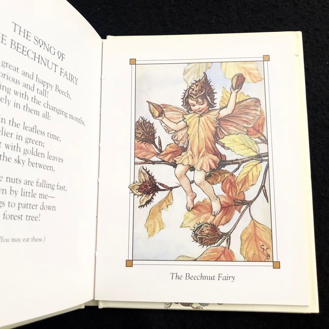 シシリーメアリーバーカー 画集「花の妖精たち 秋 Flower Fairies