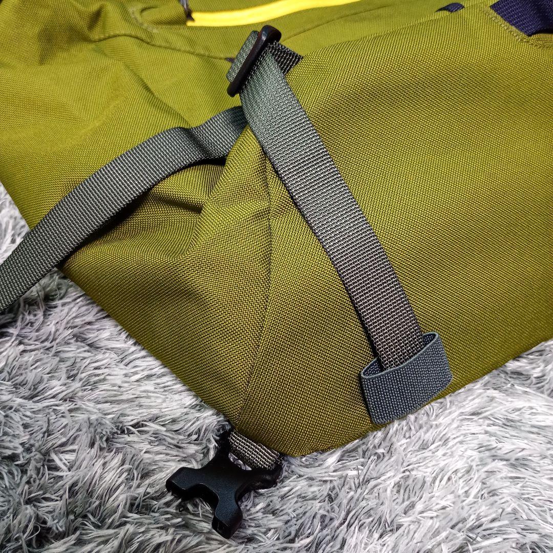 極美品 パタゴニア ハーフ・マス メッセンジャーバッグ 15L 激レア