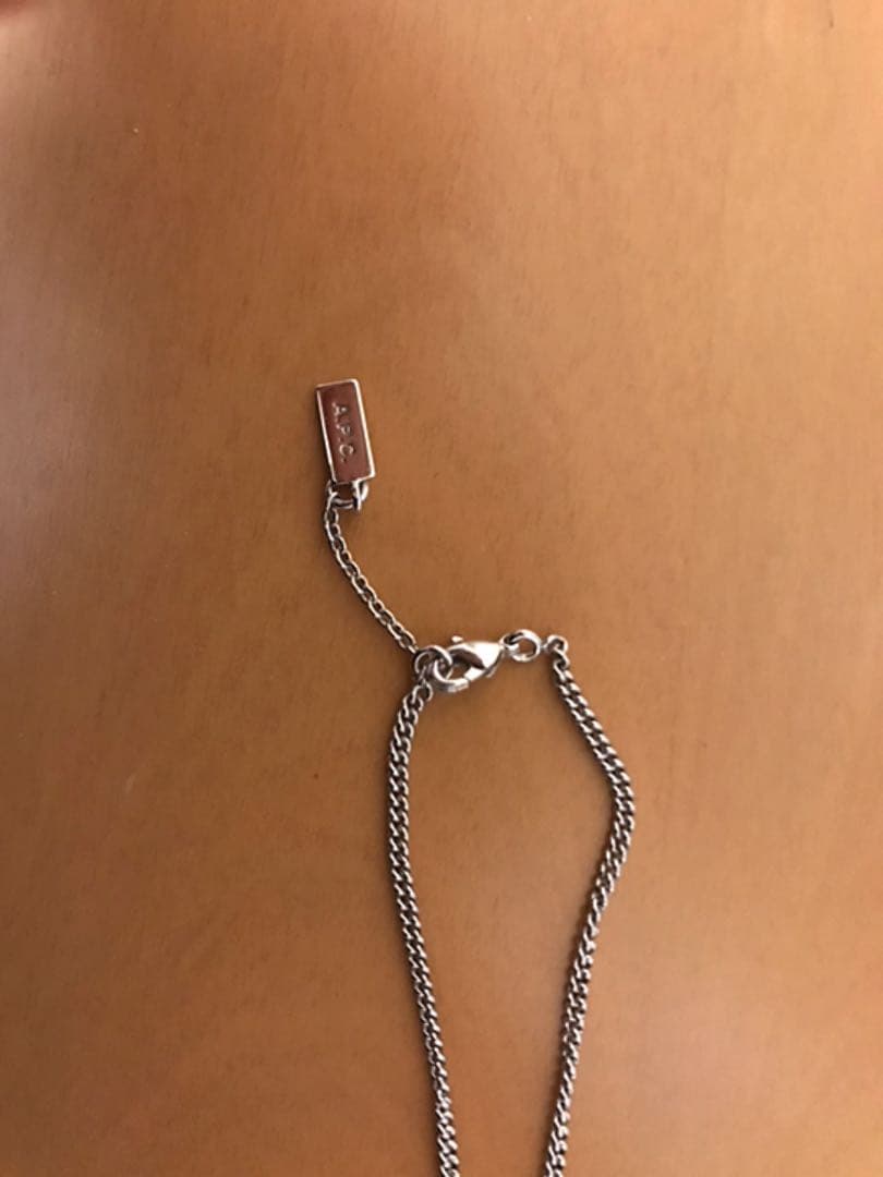 トップグレード様専用 ケンキクチ シルバーホイール・イーグルフック