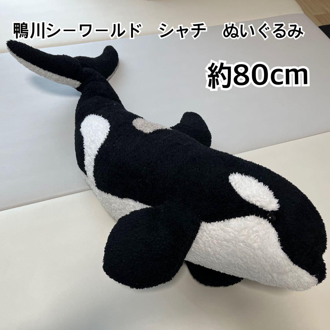 鴨川シーワールド シャチ ぬいぐるみ 約80cm - メルカリ