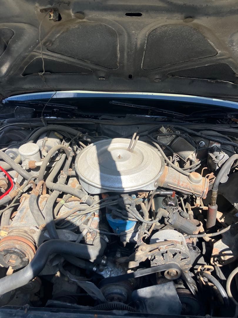 リンカーン コンチネンタル マークⅥ ディーラー車 書類あり - メルカリ