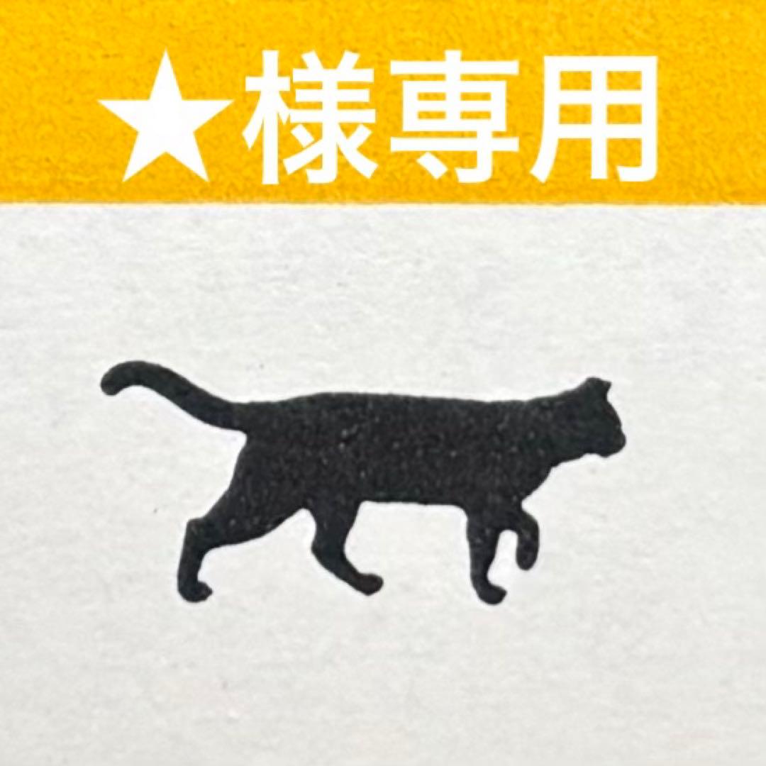 ★品 1/12 KAWASAKI Ninja ZX-25R ライムグリーン×エボニー – SOOTANG HOBBY