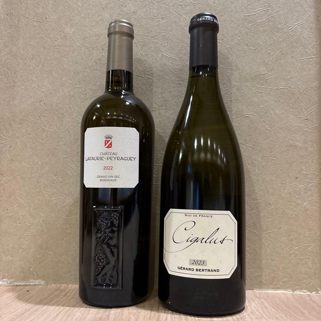 白ワイン フランス2本セット 辛口 - メルカリ