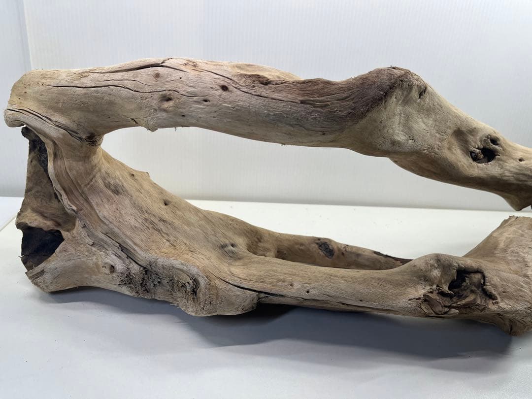 n85大型流木 アク抜き済み 爬虫類シェルター 登り木 レイアウト用