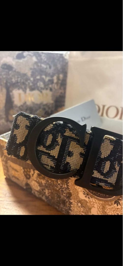 Dior ロゴ入りキャンバスベルト - メルカリ