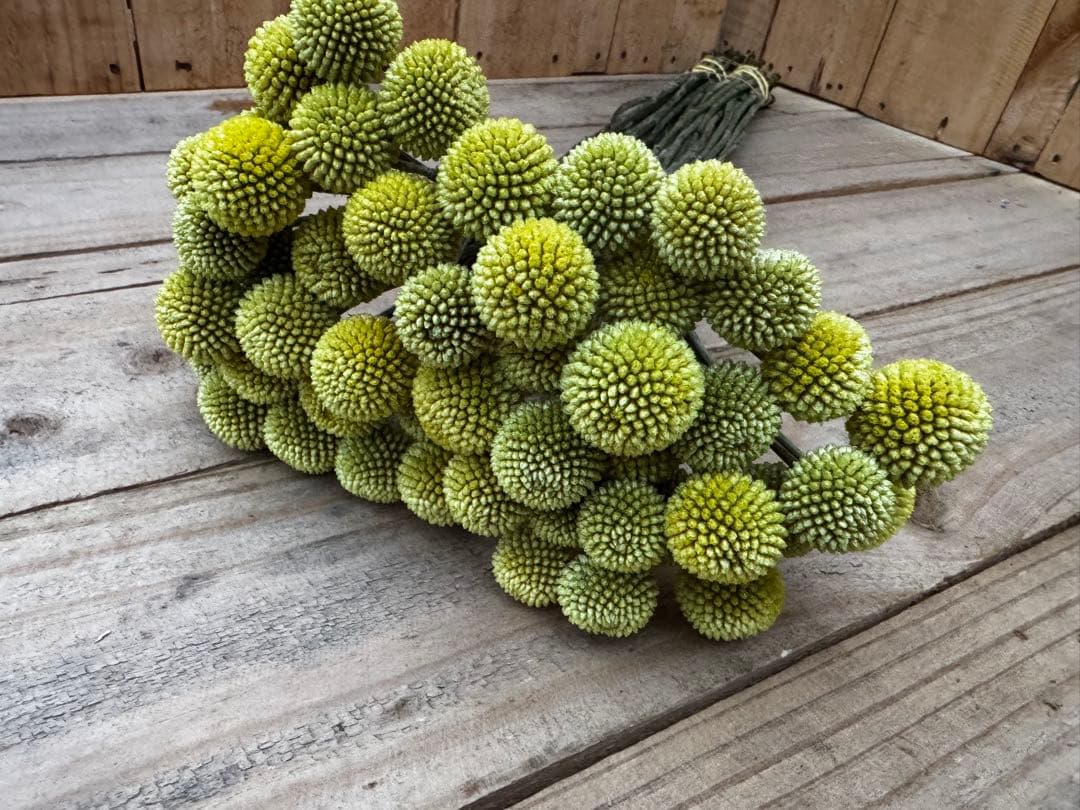 プロフ必読！お願いします様 リクエスト 3点 まとめ商品