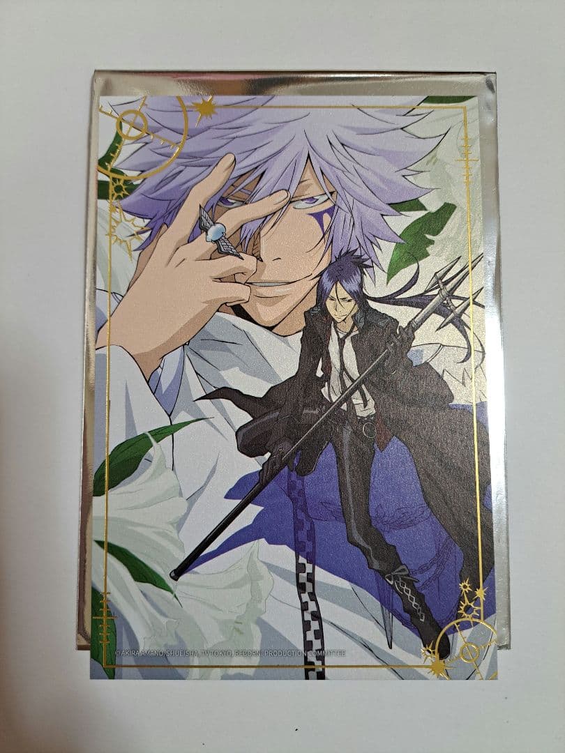 家庭教師ヒットマンREBORN!/白蘭&六道骸/中国カフェ/箔押しポスト