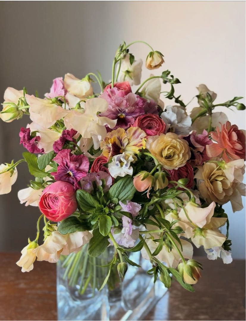 お値下げ済み Onitsuka Tiger オリーブグリーン スニーカー オニツカタイガー】Onitsuka Tiger Tokuten Burnt Green 人気