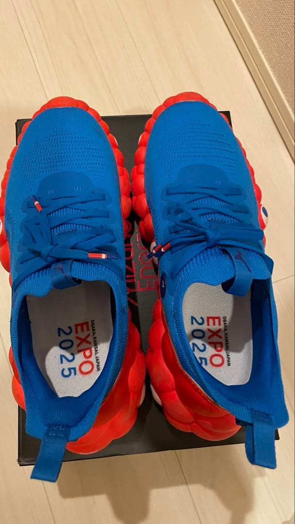 大阪万博 Mizuno ミャクミャク　スニーカー 25.0cm