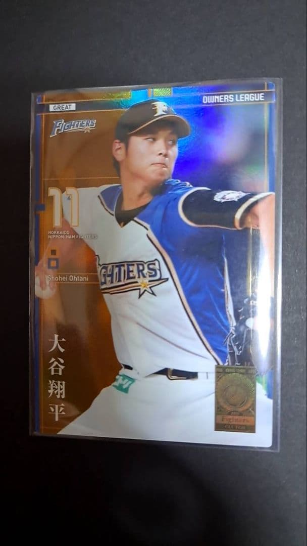 大谷翔平 カード オーナーズリーグ 2015年 GR グレイト - メルカリ