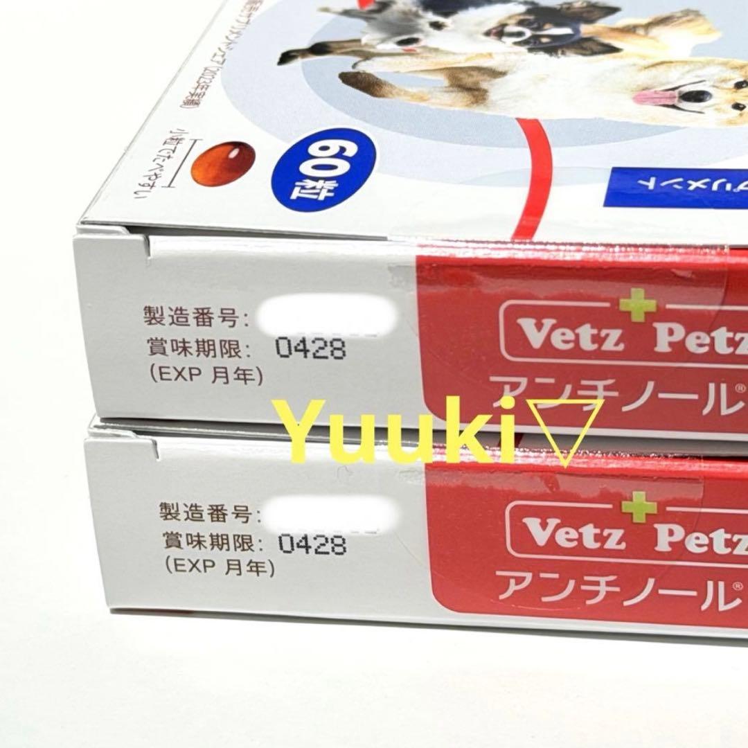 新品未開封】犬用 アンチノール プラス 60錠×2箱 - メルカリ