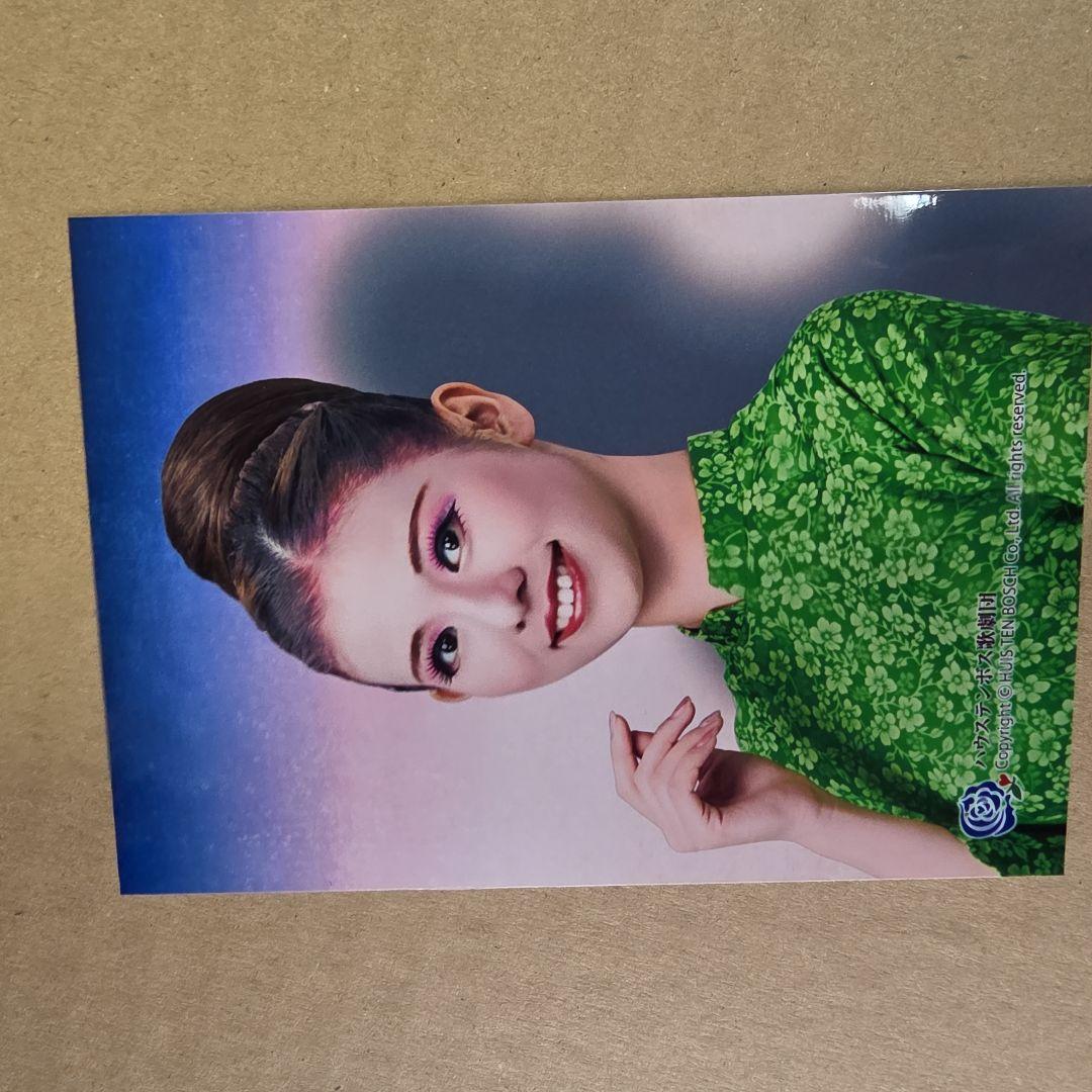 ハウステンボス歌劇団 花は海を越えて~PrincessAnio~ DVD - メルカリ