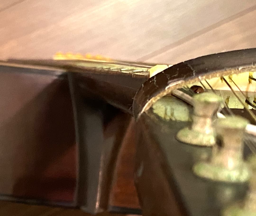 送料込み】Arai 12弦 アコースティック ギター W100 - メルカリ