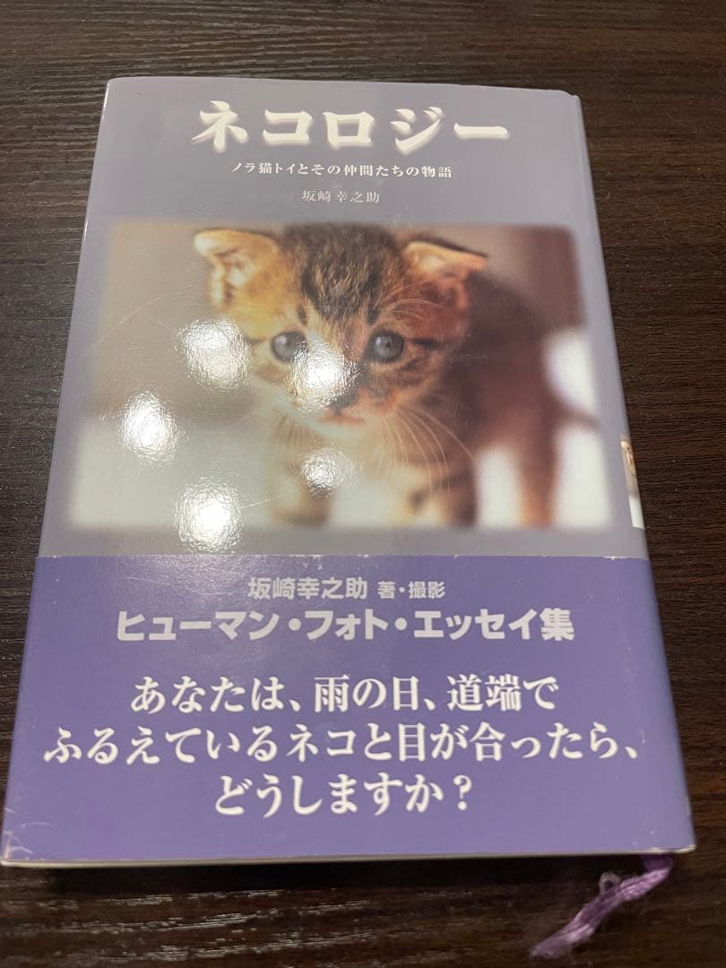 THE ALFEE 坂崎幸之助 ネコロジー - メルカリ