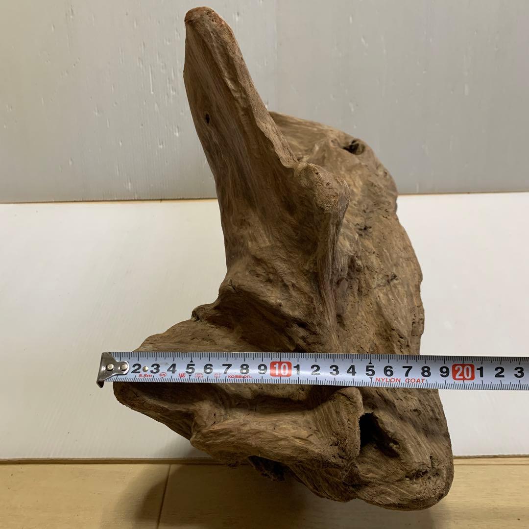 アク抜き済み流木　No.050 .039.031.239.393