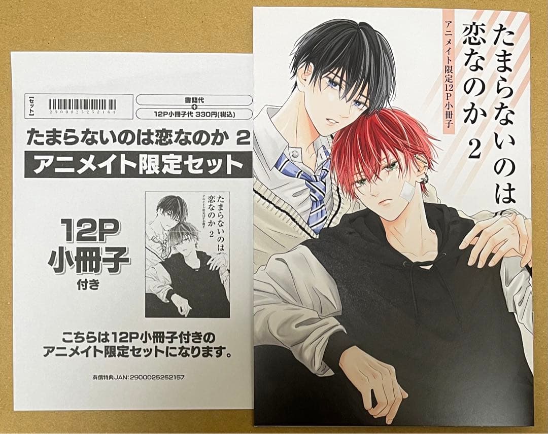 ☆特典のみ☆たまらないのは恋なのか(2) アニメイト限定描き下ろし12P