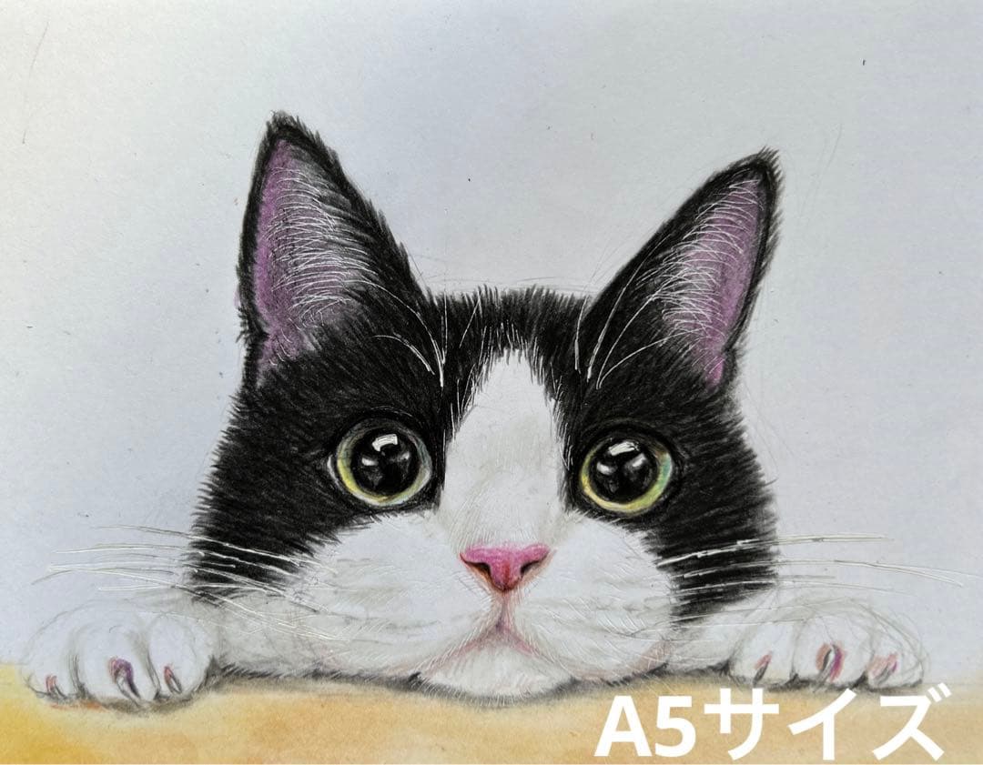 猫 絵画 子猫 イラスト 水彩色鉛筆 油彩色鉛筆 原画 ハチワレ猫ちゃん
