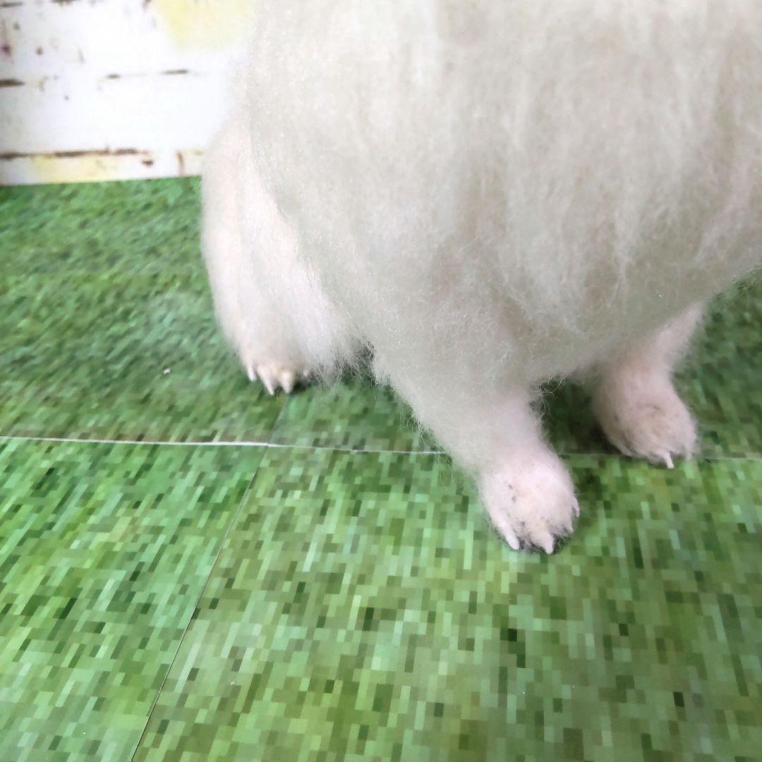 anmiさんの専用です