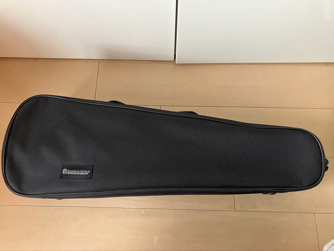 分数バイオリン 2022年製 Eastman VL80 3/4 バイオリン本体 - メルカリ