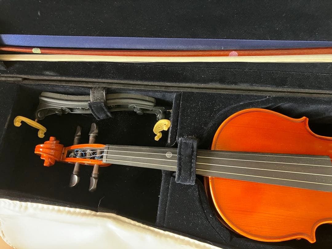分数バイオリン 2022年製 Eastman VL80 3/4 バイオリン本体 - メルカリ