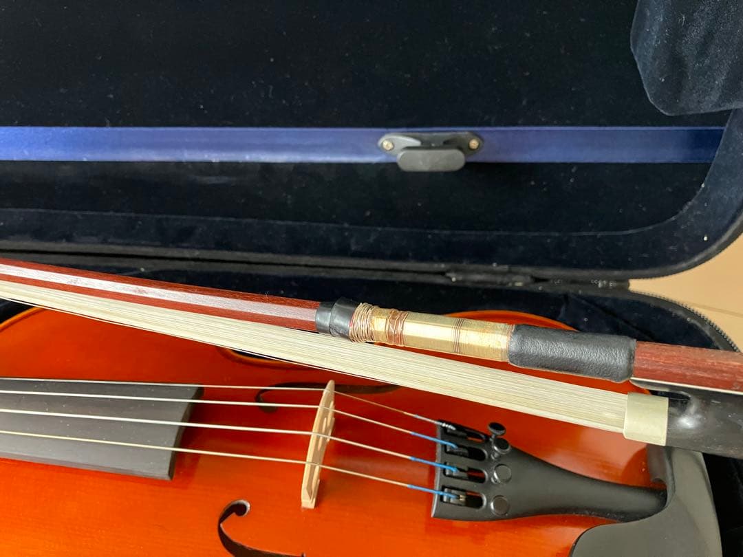 分数バイオリン 2022年製 Eastman VL80 3/4 バイオリン本体 - メルカリ