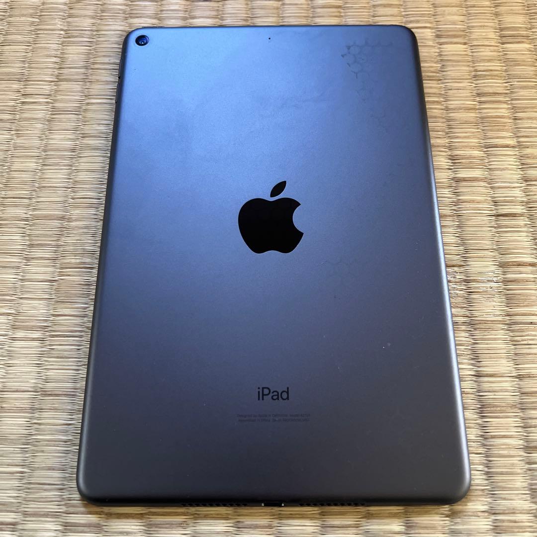 iPad mini 5 スペースグレイ 初期化済み - メルカリ
