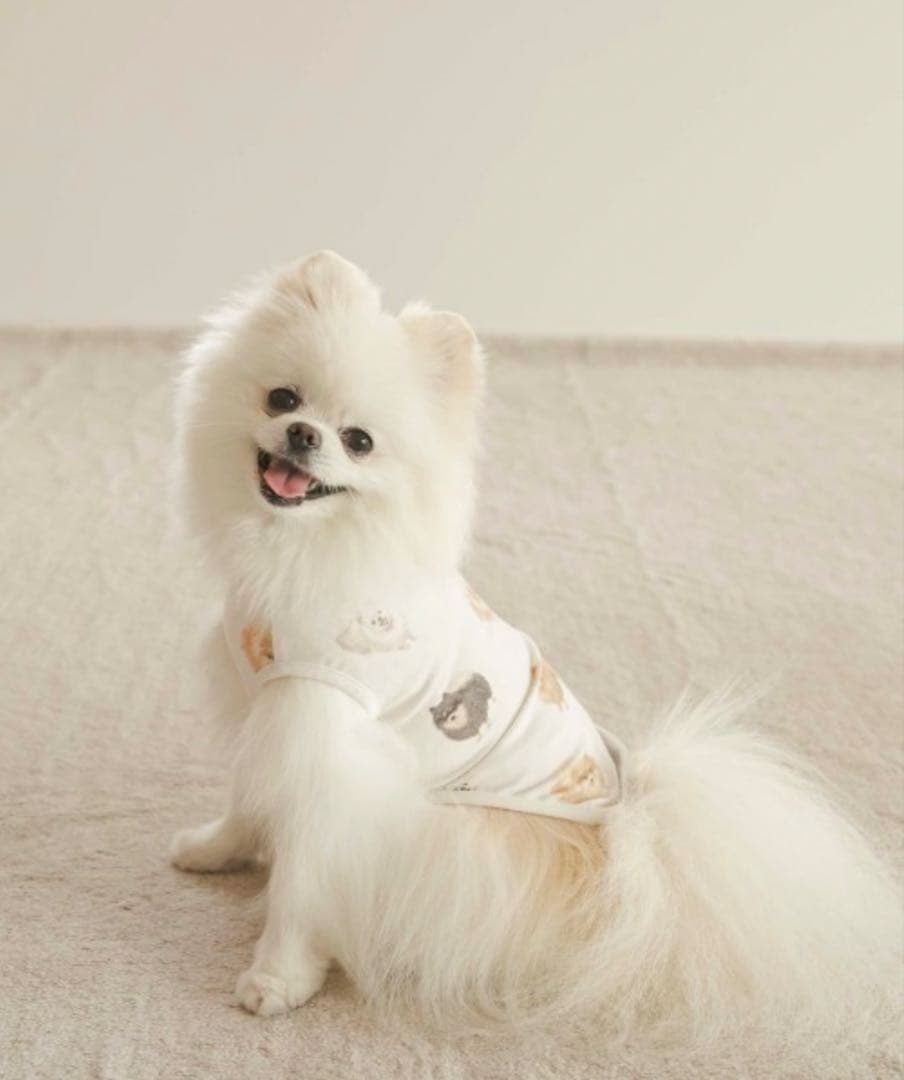 ジェラートピケ ポメラニアン柄カットソープルオーバー S - メルカリ