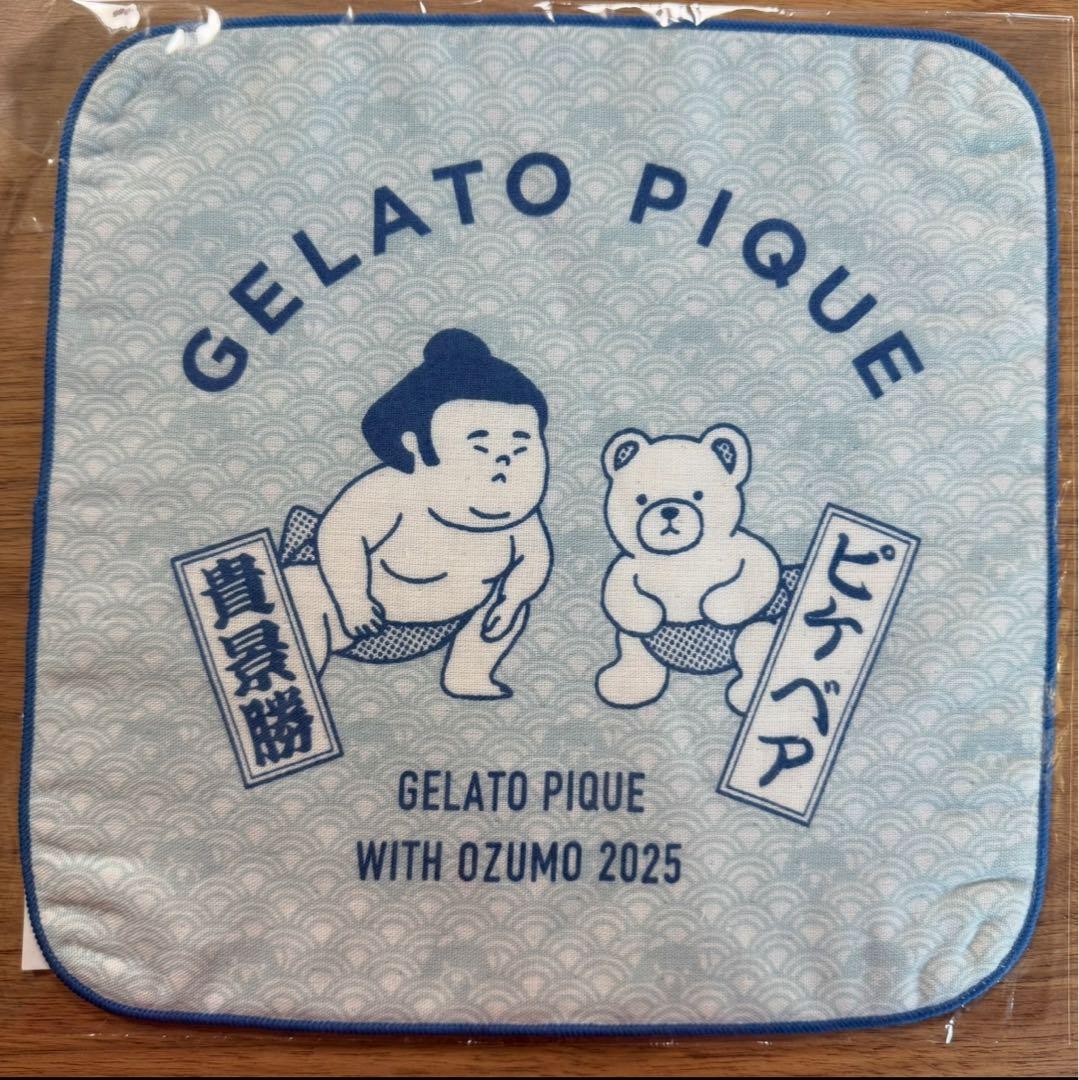 2 貴景勝 ジェラートピケ ジェラピケ 貴景勝 ピケベア ハンドタオル