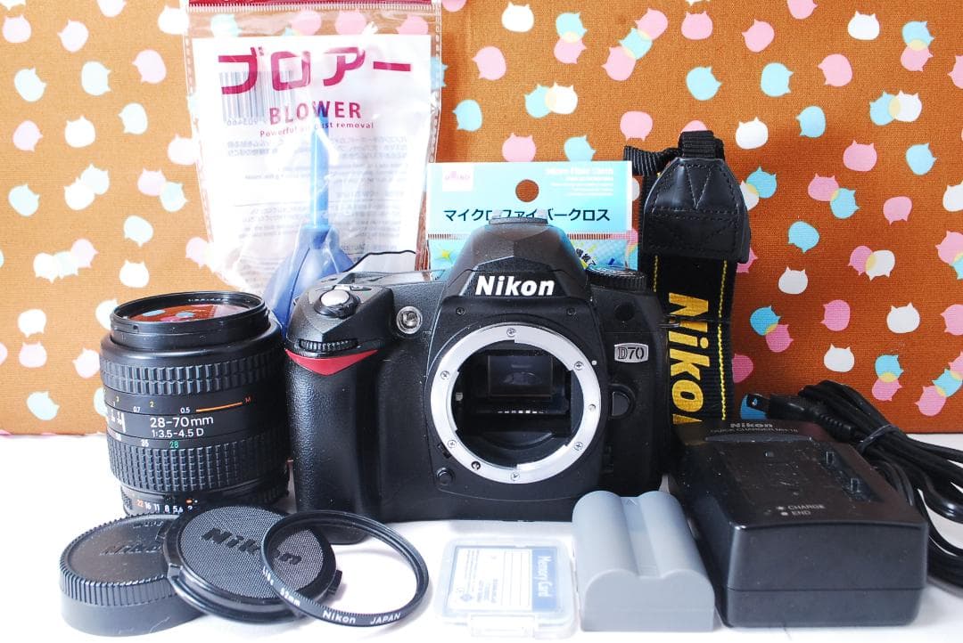 ✨お安くデビュー✨ショット数1071回✨Nikon D70 レンズセット - メルカリ