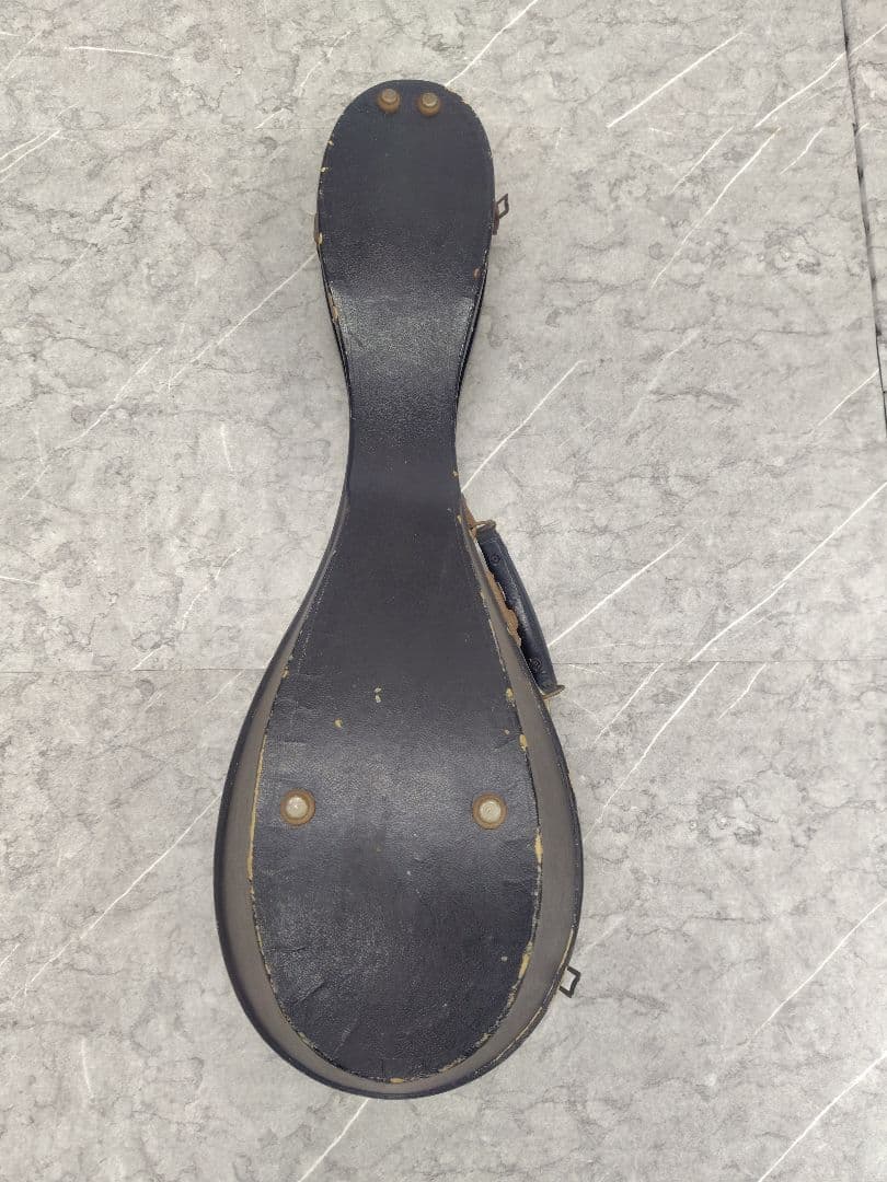 スズキ マンドリン No.70 KISO HUKUSHIMA ハードケース付き - メルカリ