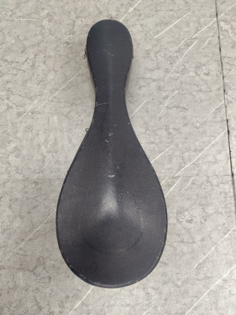 スズキ マンドリン No.70 KISO HUKUSHIMA ハードケース付き - メルカリ