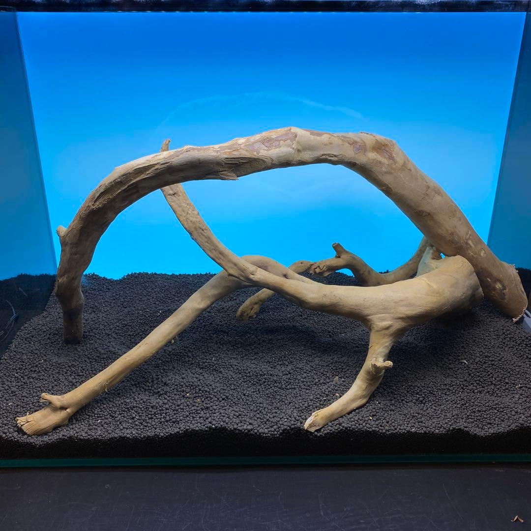 MDW-6763 ブランチウッドレイアウトセット 流木 枝流木 アクアリウム
