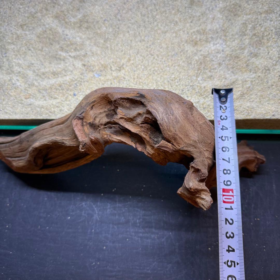 MRW-7240 自立赤系天然流木 アーチ流木 45cm水槽用流木 アクアリウム