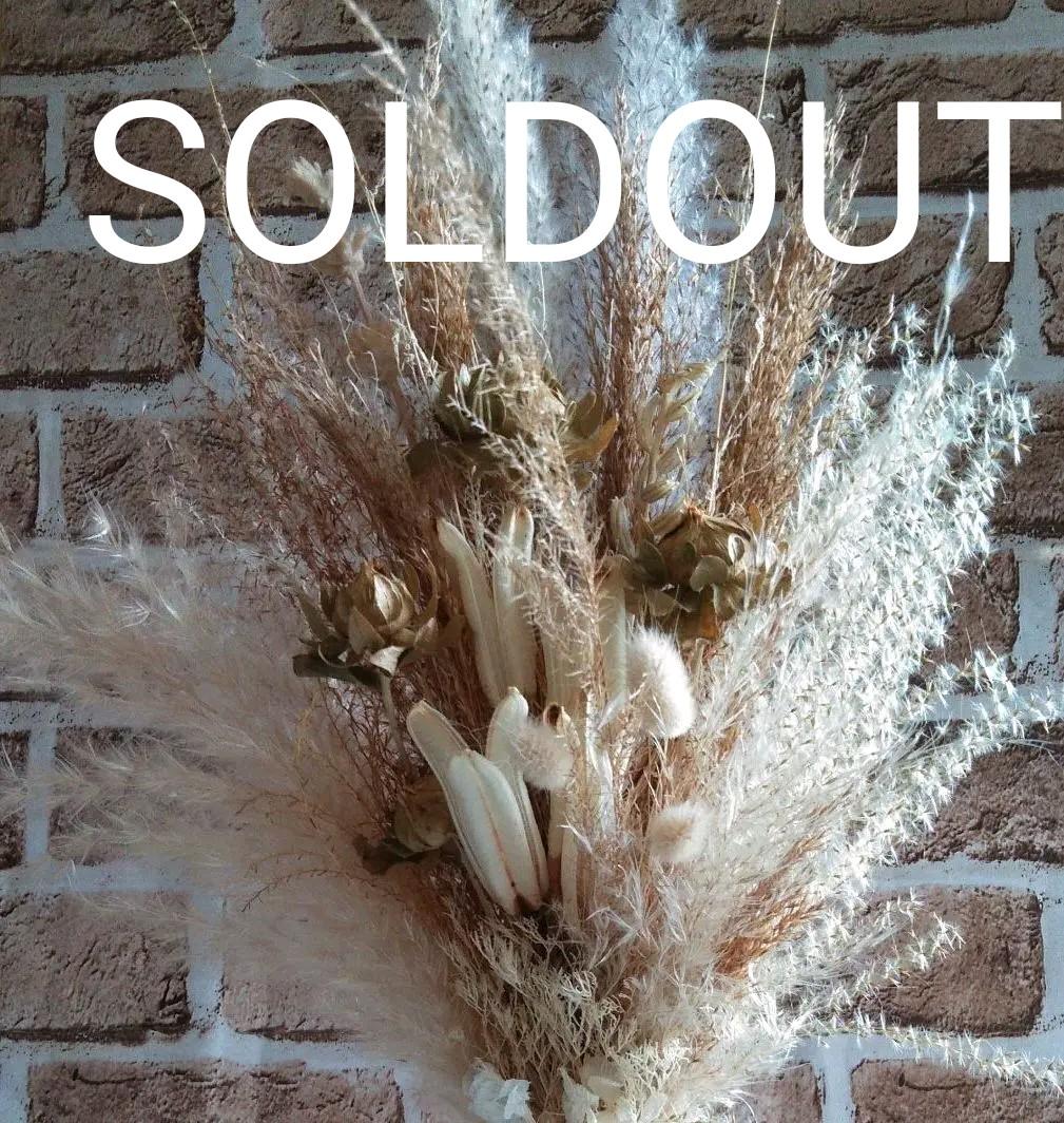 ⭐︎ほっぷ様専用ページです⭐︎ プロテアホワイトの壁掛けオブジェ