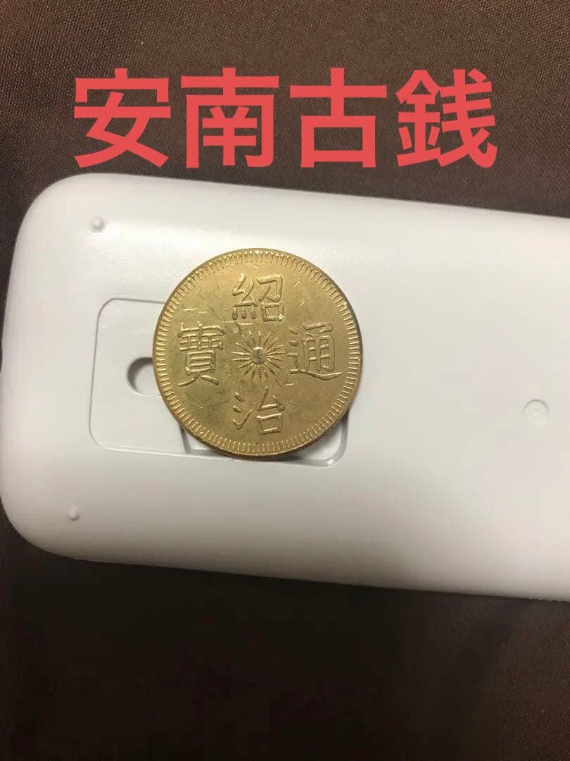 安南古銭 ベトナム古銭 花銭 龍紋貨幣 仏領インドシナ 中国古銭
