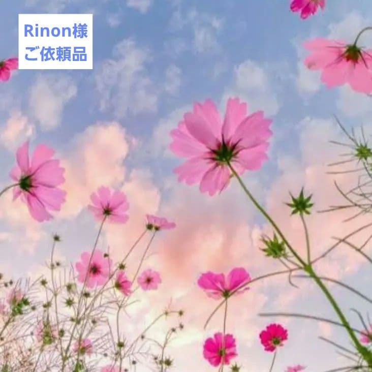 Rinonꕤ*.゜K様 ご依頼品 天然石 ブレスレット等 楽天市場】風水四神獣ブレスレット水晶(金彫り)フローライト ネコポス