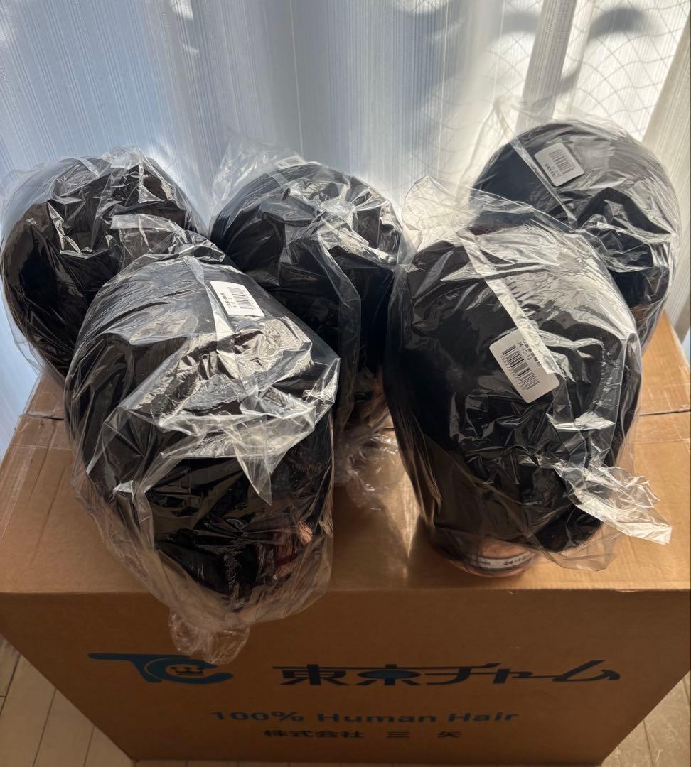 美容師実技試験用　人毛100% ウィッグ 5個セット YUKARI JAPAN 24-2Cut【美容師実技試験練習用/人毛100%】の卸・通販